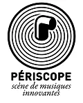 SWELL / SEB RADIX en concert à Lyon (LE PERISCOPE A LYON) – 27 oct ...